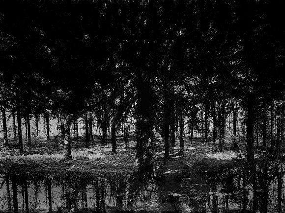 02-51-Edit-Edit-2