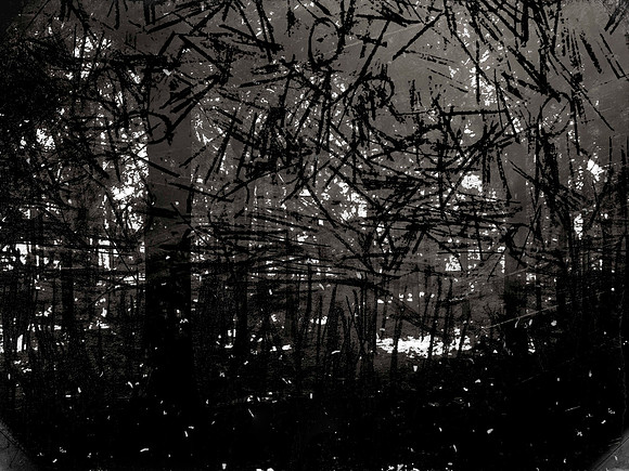 02-51-Edit-2-Edit-2-Edit-21