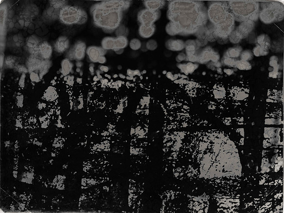 02-51-Edit-2-Edit-2-Edit-2-Edit-2