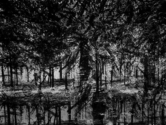 02-51-Edit-2-Edit-Edit-2-2