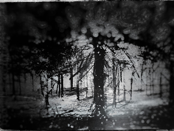 02-51-Edit-2-Edit-Edit-12