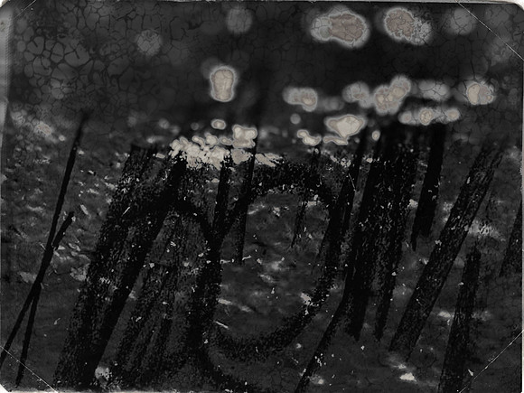 02-51-Edit-2-Edit-2-Edit-16