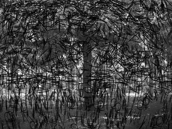 02-51-Edit-2-Edit-2-Edit-18