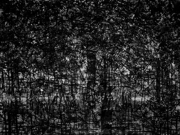 02-51-Edit-2-Edit-2-Edit-3