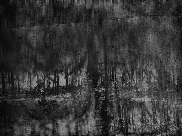 02-51-Edit-2-Edit-Edit-2-Edit