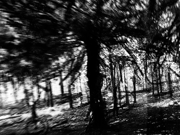 02-51-Edit-2-Edit-Edit-14
