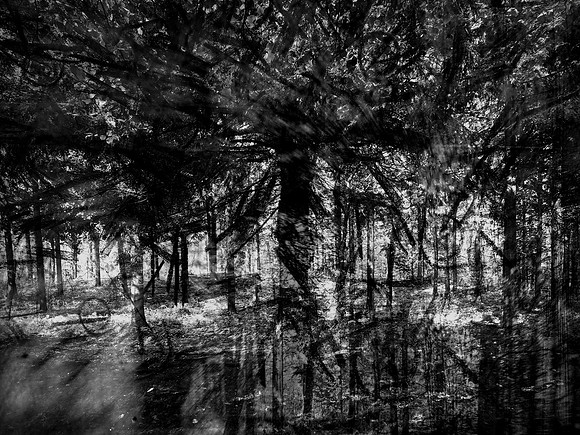 02-51-Edit-2-Edit-Edit-2