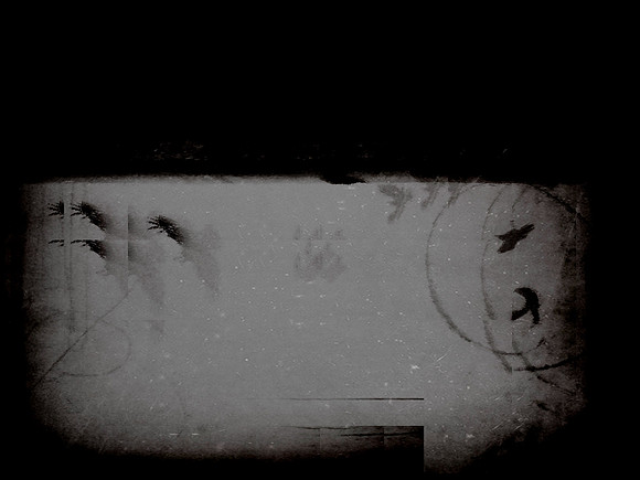 38-119