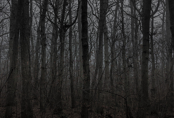 041214 #174