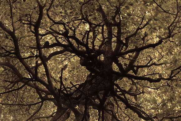 2013-09-18-182