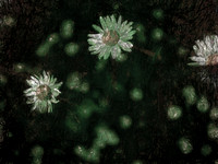 2-16