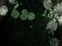 2-3