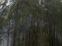 200716-2-17