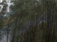 200716-2-12