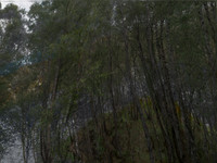 200716-2-8