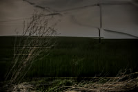 240515-23-8