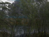 200716-2-14