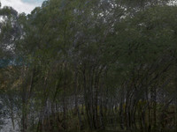 200716-2-9