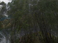 200716-2-7