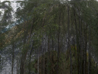 200716-2-6