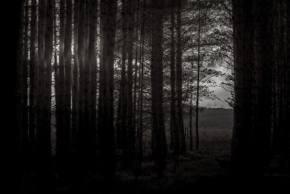scotland1223
