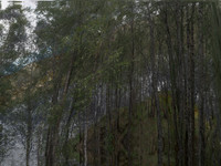 200716-2-13