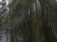200716-2-16