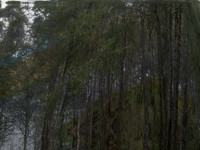 200716-2-11