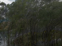 200716-2-15