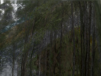200716-2-3