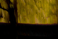 2013-09-23-127