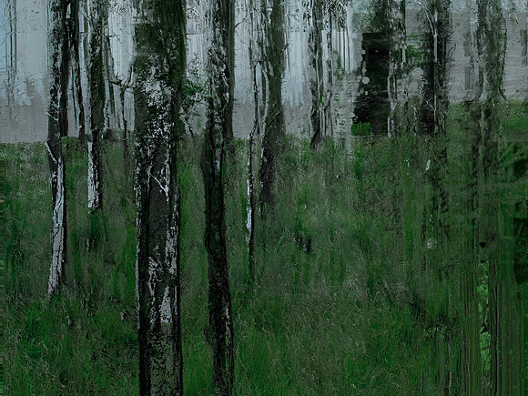 IMG_5111