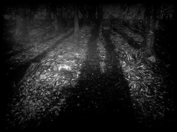 19-74-Edit-2-Edit