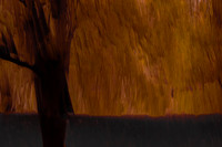 2013-09-23-126