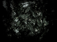 190616-13-16