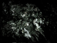 190616-13-10