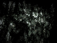 190616-13-6
