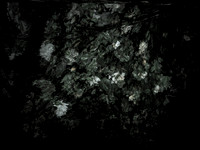 190616-13-17