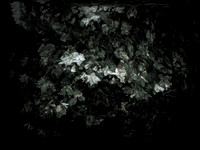 190616-13-4