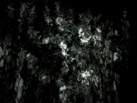 190616-13-5