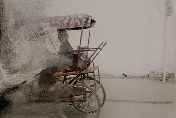 delhi #502-6
