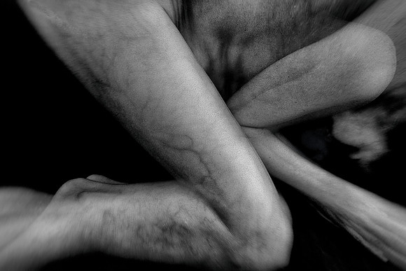 261114 #375-3-2