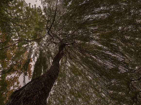 311016-1-7
