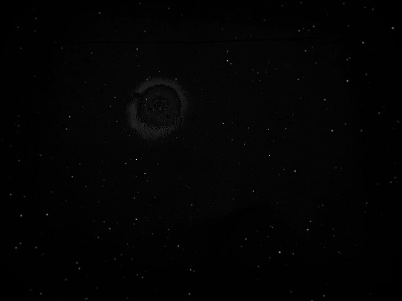 luna 10-83