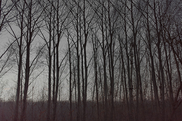 291114 #325