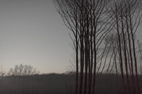 291114 #340
