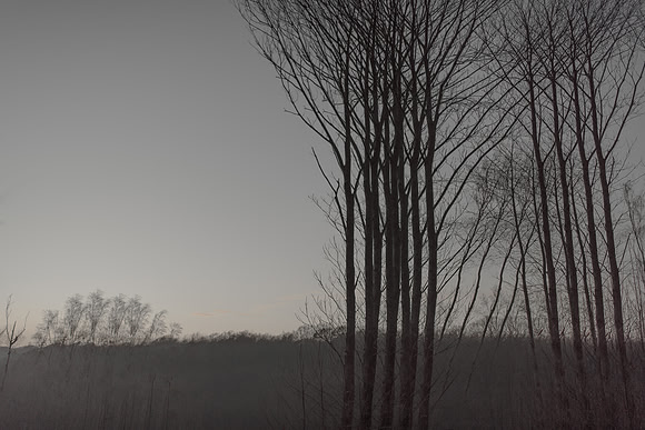 291114 #340