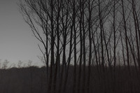 291114 #316