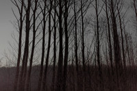 291114 #312