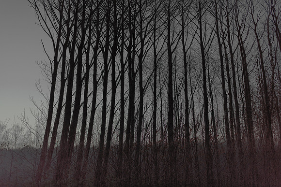 291114 #258